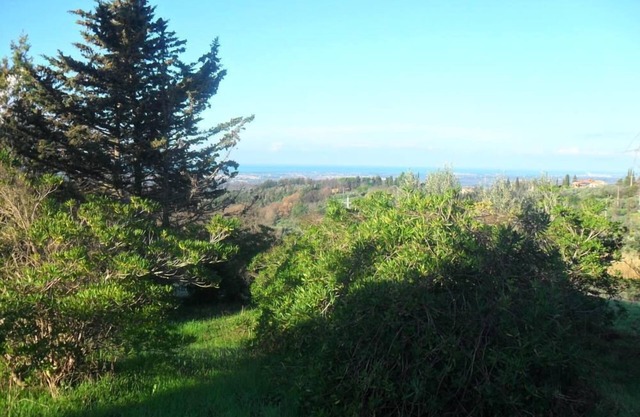 Zwei-Zimmer, Küche, Balkon einen herrlichen Meerblick, Garten, Grill