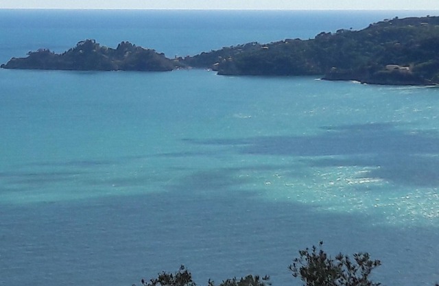 SEA und Olivenbäume PORTOFINO
