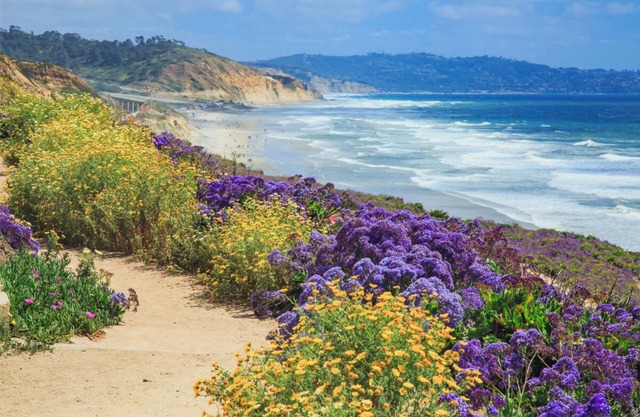 Sea Flower - Remodeled Beauty with Ocean Views - Monthly Rentals