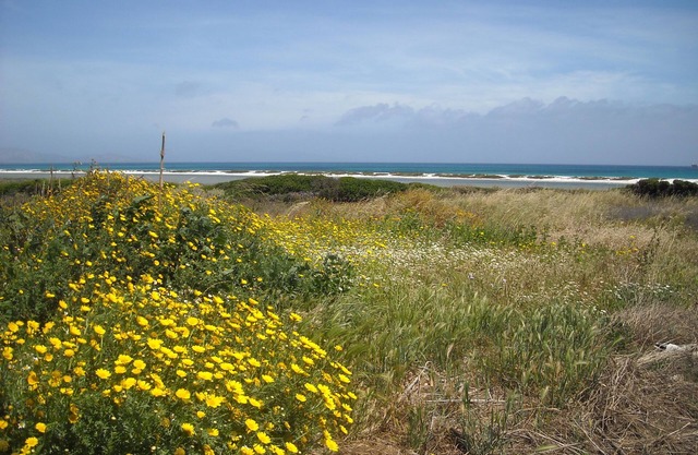 Meer, Natur und Relax: Ferienhaus in Stintino - Sardinien