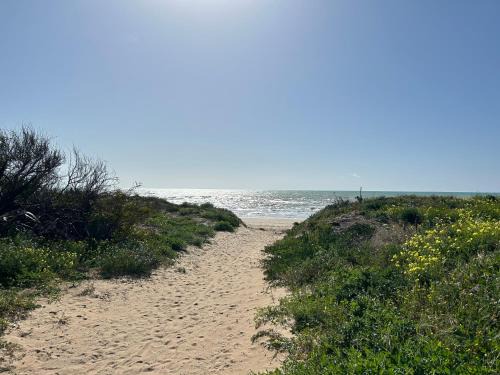 Sea's scent