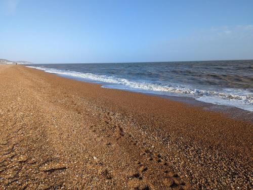 Seahorse House, Beautiful Large house next to the Beach & Park & near Zoo, Hythe