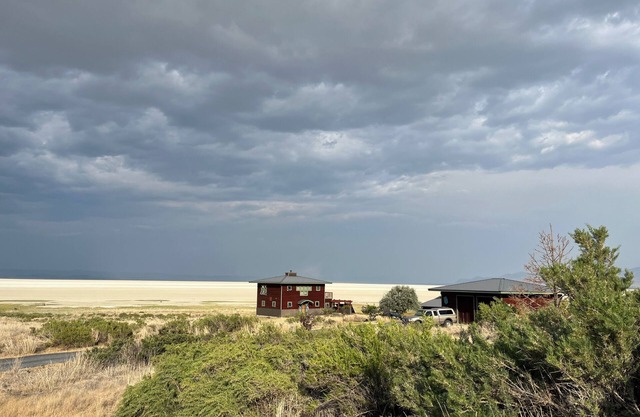 Seasonal Lake pet friendly lookout style cabin on13 acres! Dark sky & wildlife