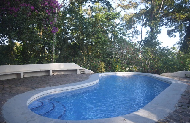 Wo die wilden Dinge sind! Ecclectic Seaview Villa, Pool und Regenwald erhalten