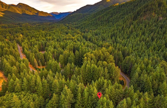 Cozy Mountain Retreat - at Mt. Rainier & Kristall Mt.