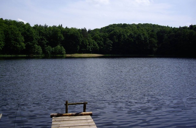 Bungalow am Forsthaus Thursee, 1 Schlafzimmer, Wohnzimmer mit Schlafsofa
