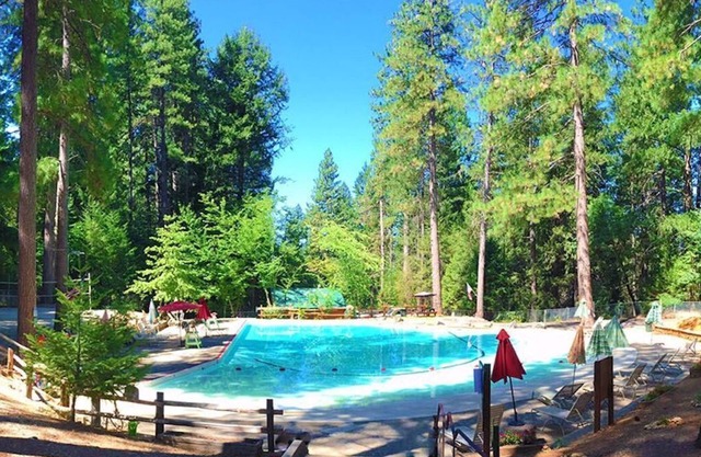 Secluded cabin retreat on 8 private acres with Hot Tub