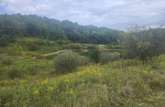 Secluded Cabin near Hocking Hills with Stocked Pond/ Hot Tub on 40 acres