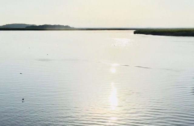Secluded cottage on beautiful Sapelo Island
