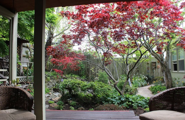Abgeschiedener Garten Retreat günstig zwischen SFO & SF gelegen