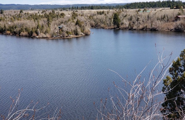 Abgelegene Lakefront Log Cabin - Angeln & Wildlife Paradise!