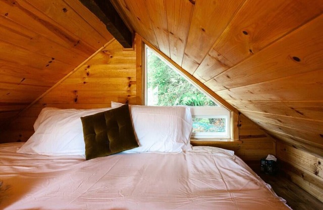 Secluded mini lakefront Cabin on North Tenmile Lake - Boat in only.