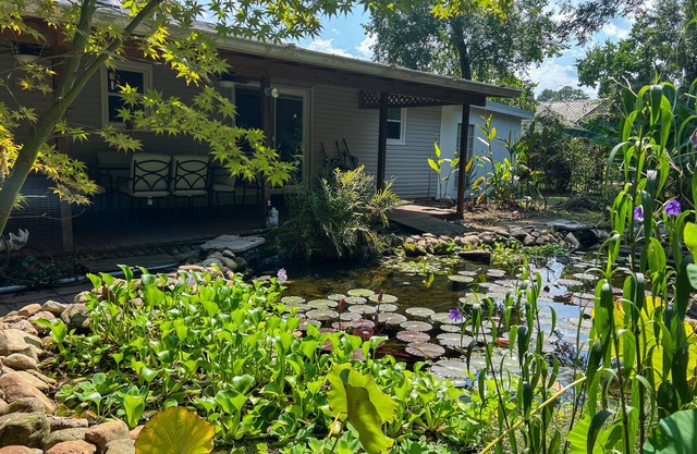 Secluded nature escape. 8 min. to Robert Trent Jones and 5 min. to downtown.