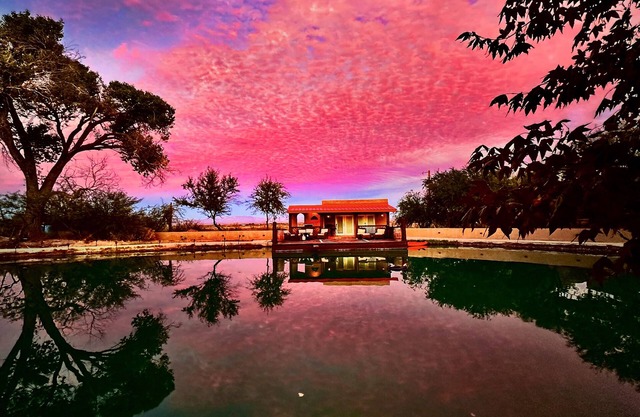 Secluded Oasis in the Desert