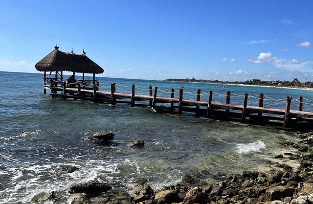 Secluded paradise! Brand new large studio condo with direct beach access.