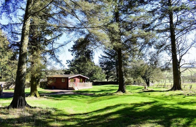 Secluded Pine Lodge 2