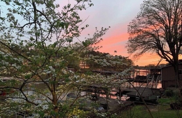 “Seclusion” - Swim-Boat Dock, Hot Tub, Fire Pit, Kayaks for rent on property