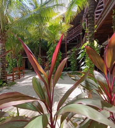 Secret paradise mahahual