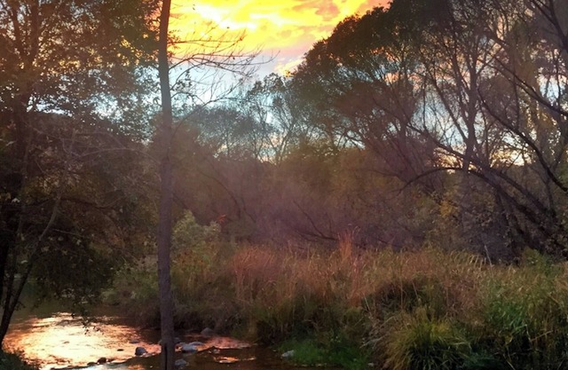 Sedona Creekfront Hideaway ~ ein schönes Privathaus auf 2 Hektar Creekfront