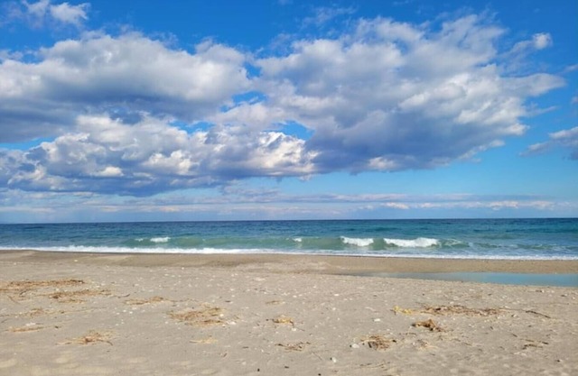 Seele Baumeln Lassen im Olivenhain & am Meer