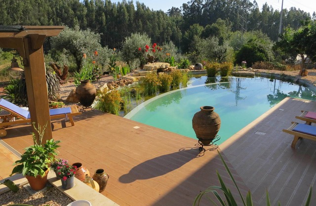 Self-catering apartment in rural location with gorgeous biological swimming pool