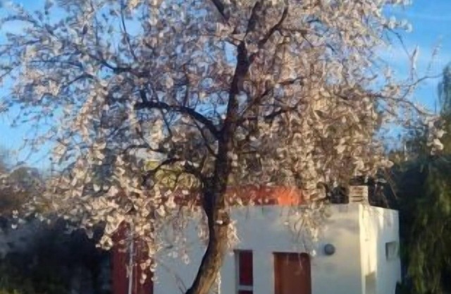 Casa rural (alquiler íntegro) La Aldea para 4 personas