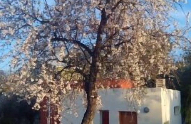 Ferienhaus La Aldea für 4 personen