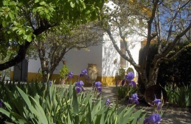 Ferienhaus Villa Rosario für 14 personen