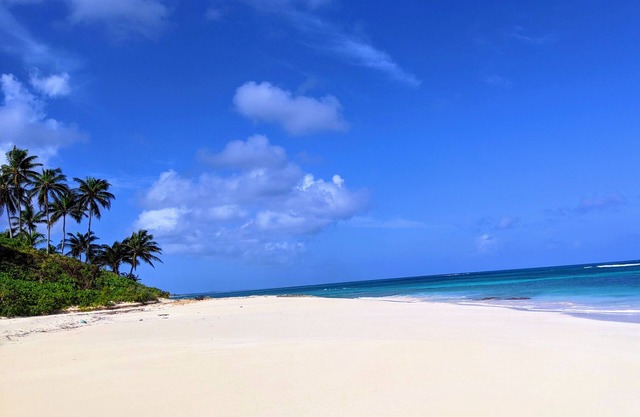 Conch'd Out Beach House: A Relaxing Oceanfront Vacation on a Secluded Beach