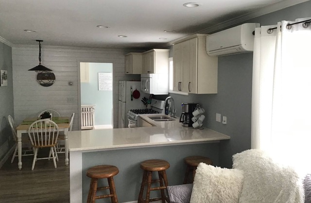 NEUE AUFLISTUNG!! Gemütliches Ferienhaus in der Innenstadt von Boyne City