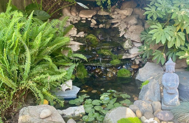 Seq Parks-hot Tub Fire Pit Koi Pond Outdoor Kitch