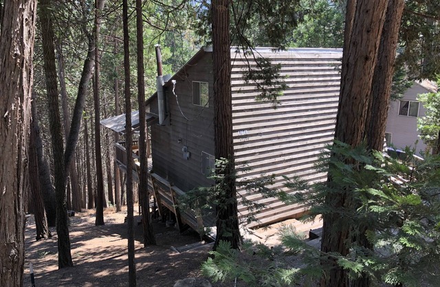 Sequoia National Forrest Cabin Kurzurlaub