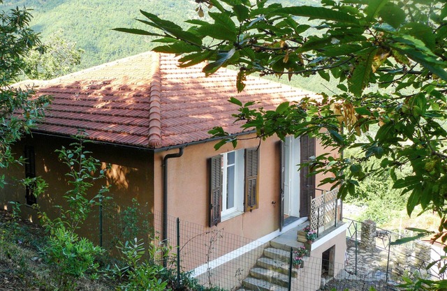 Serena (COX100) by Interhome