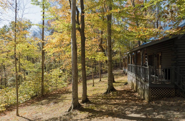 Serene 3 Bed Log Cabin at Jamestown Marina, Tucked Away in a Wooded Area #303