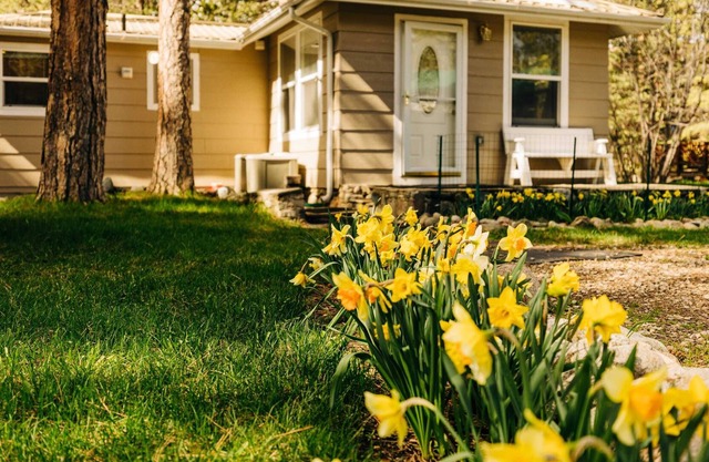 Creek Side Red Cloud Cottage Escape in Story Wyo