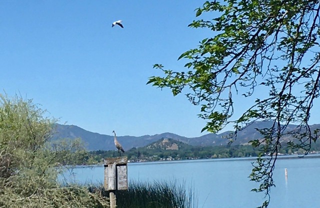 Ruhiges Haus am Wasser