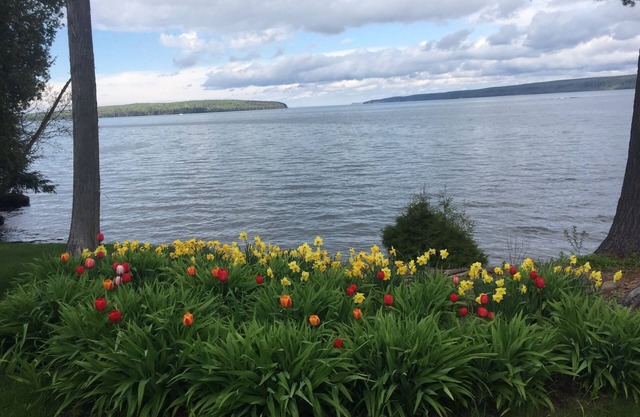 Serene Lake Superior Fassade