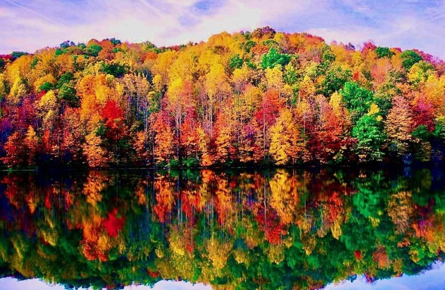 Serene lakeside oasis - fast WiFi 1.5 hrs from NYC, fire-pit & nature all around