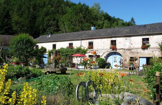 Ruhige Mühle in den Südvogesen - Authentisches und modernes Ferienhaus