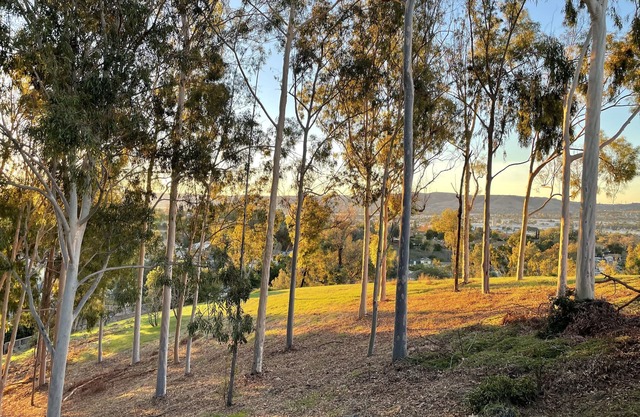 SERENE RELAXING HOME WITH A VIEW