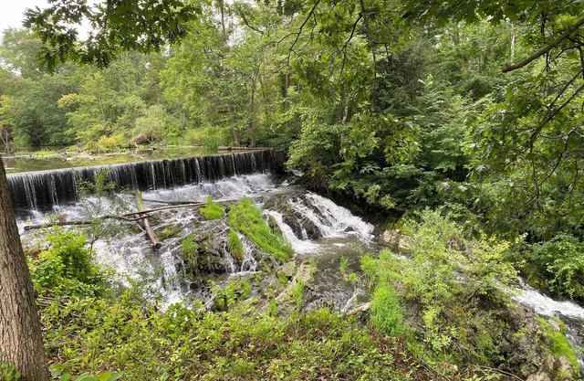Serene Waterfall!!!
