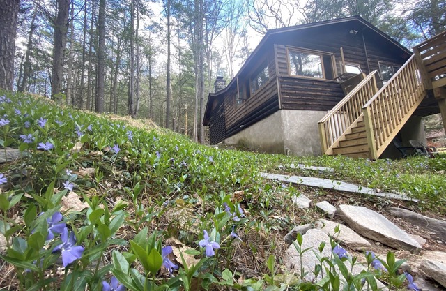 Blockhaus auf 1 Hektar Wald mit Forellenbach.