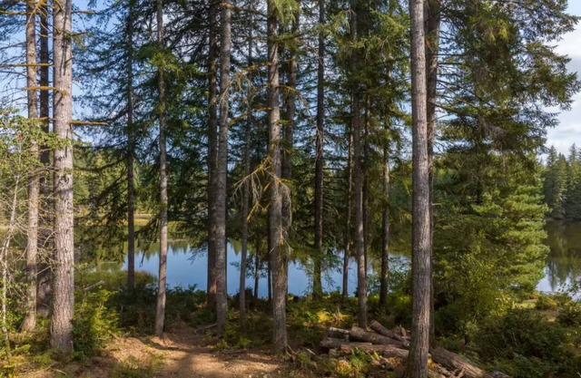 Serenity Lake House