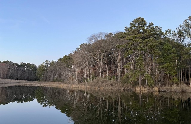 "Serenity"-St. Patrick's Creek w/ private pier