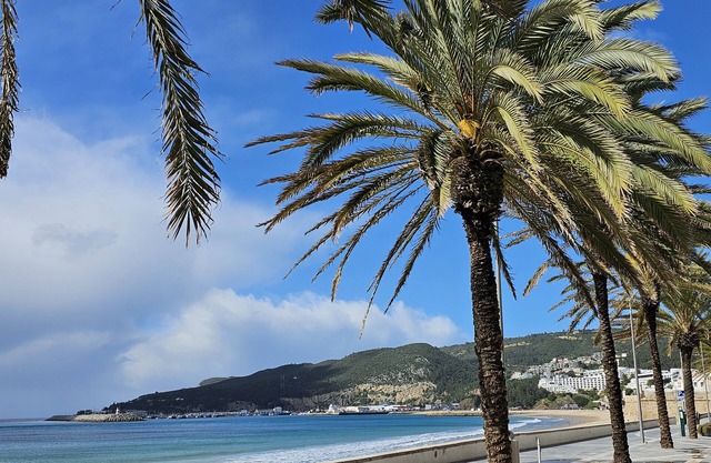 Sesimbra, Villa Luxueuse, Vue Superbe sur Océan, Port, Plage, 6/7 Voyageurs