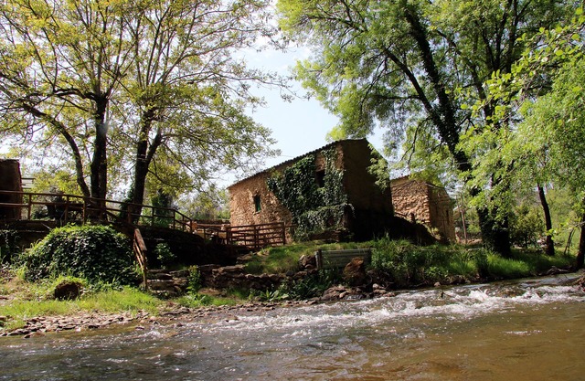 Sete Quintas / Olivenölmuseum