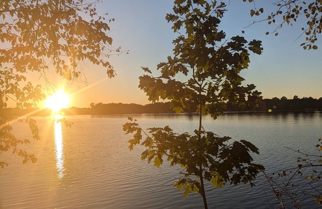 Shady Rest Cabin “Up North”, 3BR/2BA, Lakefront, Beach, Fishing, Relaxing, Fun!