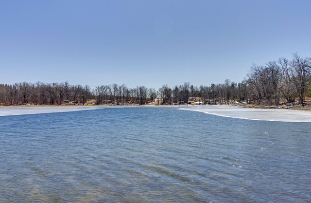 Shared Dock: Dog-Friendly Retreat in Park Rapids!