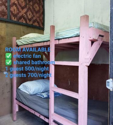 sharkbunkbed siargao