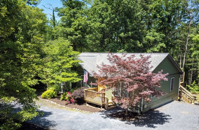 Shenandoah High Style Cozy Cabin with Patio and Fire Pit- Pet-Friendly!
